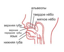 ������� ���������� 